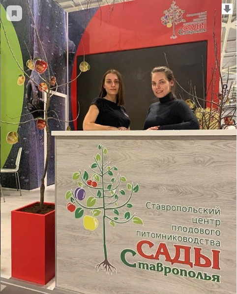 сады с я