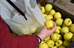 Продукцию садоводства представят на ярмарке в Ставрополе