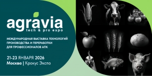 Круглый стол &laquo;Почему переработка овощей и фруктов &ndash; новый успешный тренд для Вашего бизнеса&raquo;
