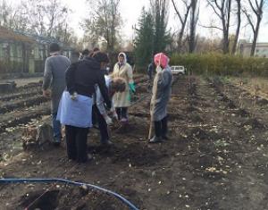 В учебном центре виноградарства и виноделия произвели осеннюю закладку винограда