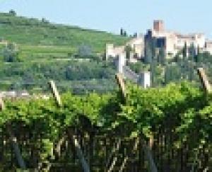 Винный регион Соаве включен в список национального наследия Италии