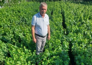 К(Ф)Х Мазарчук А.И.: традиции и инновации