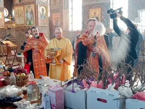 День Святого Трифона отметили ставропольские виноградари и садоводы