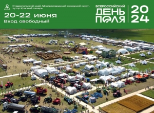 Винный фестиваль пройдет на Дне Поля