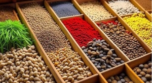 В Сочи создадут селекционно-семеноводческий центр субтропических культур