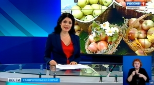 Тайна плодовой корзинки