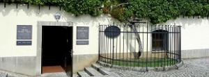 Дом Старой лозы: Самая старая виноградная лоза в мире растет в Словении