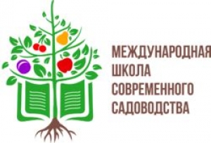 Именные сертификаты получены