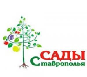 Сезон зимней прививки!!!