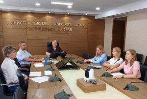 Совещание по вопросам оказания государственной поддержки на стимулирование развития виноградарства и виноделия прошло в Министерстве сельского хозяйства Ставропольского края