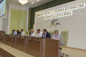 В краевом минсельхозе подписали трехстороннее соглашение о сотрудничестве