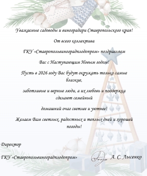 С Новым годом!