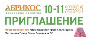 VI-я Международная конференция «АБРИКОС - философия развития»