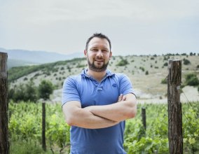Для развития отрасли элитного виноделия в Севастополе подобрали почти 40 инвесторов