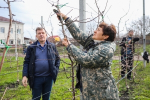 Мастер-класс по обрезке плодовых деревьев провели для студентов Аграрного университета