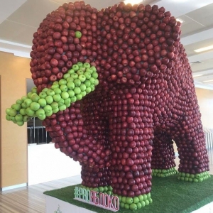 Слон в красных яблоках