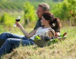 Путешествие с бокалом: Ставропольские виноделы планируют расширять маршруты винных туров для продвижения местной продукции