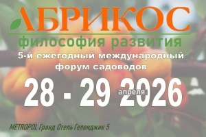Фестиваль &laquo;Абрикос-Философия развития&raquo; скоро вот-вот начнётся в Геленджике!