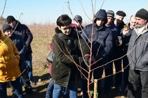 Семинар для садоводов