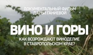 Историю вина связующая нить: ставропольские виноделы рассказали об особенностях местного терруара