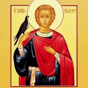 28 февраля 2017 года министр сельского хозяйства Ставропольского края Владимир Ситников посетил ГКУ «Ставропольвиноградпром»