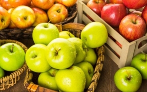 На Ставрополье продолжается сбор летних сортов яблок