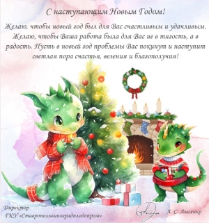 С наступающим Новым Годом!